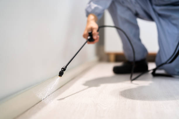 Licensed Pest Control service in Summit Park, UT - Show Me Pest Control